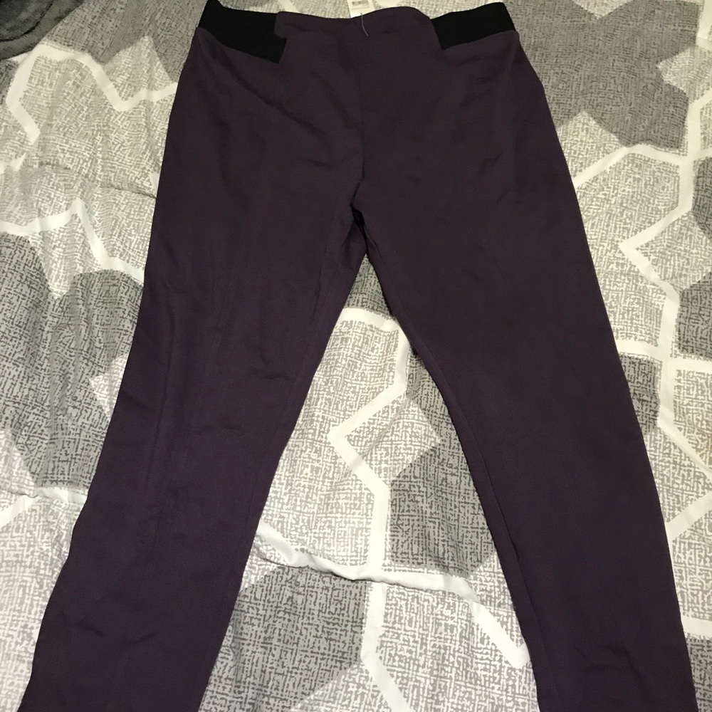 Plum Riding Pants (Leggings)